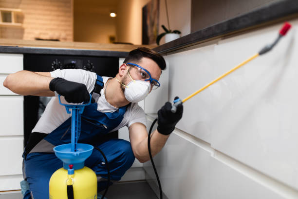Best Flea Control Services  in Cutchogue, NY