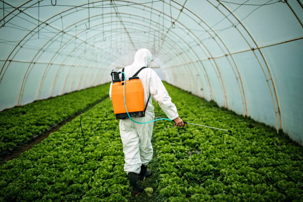 Best Local Pest Control Services  in Cutchogue, NY