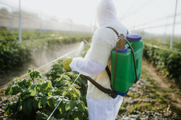 Best Bed Bug Extermination  in Cutchogue, NY